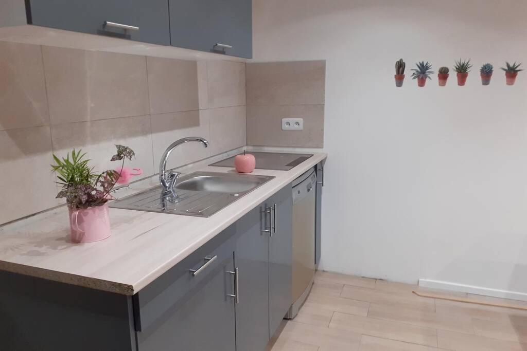 Appartement 3 Pieces Dans Villa Individuelle Falicon Екстериор снимка